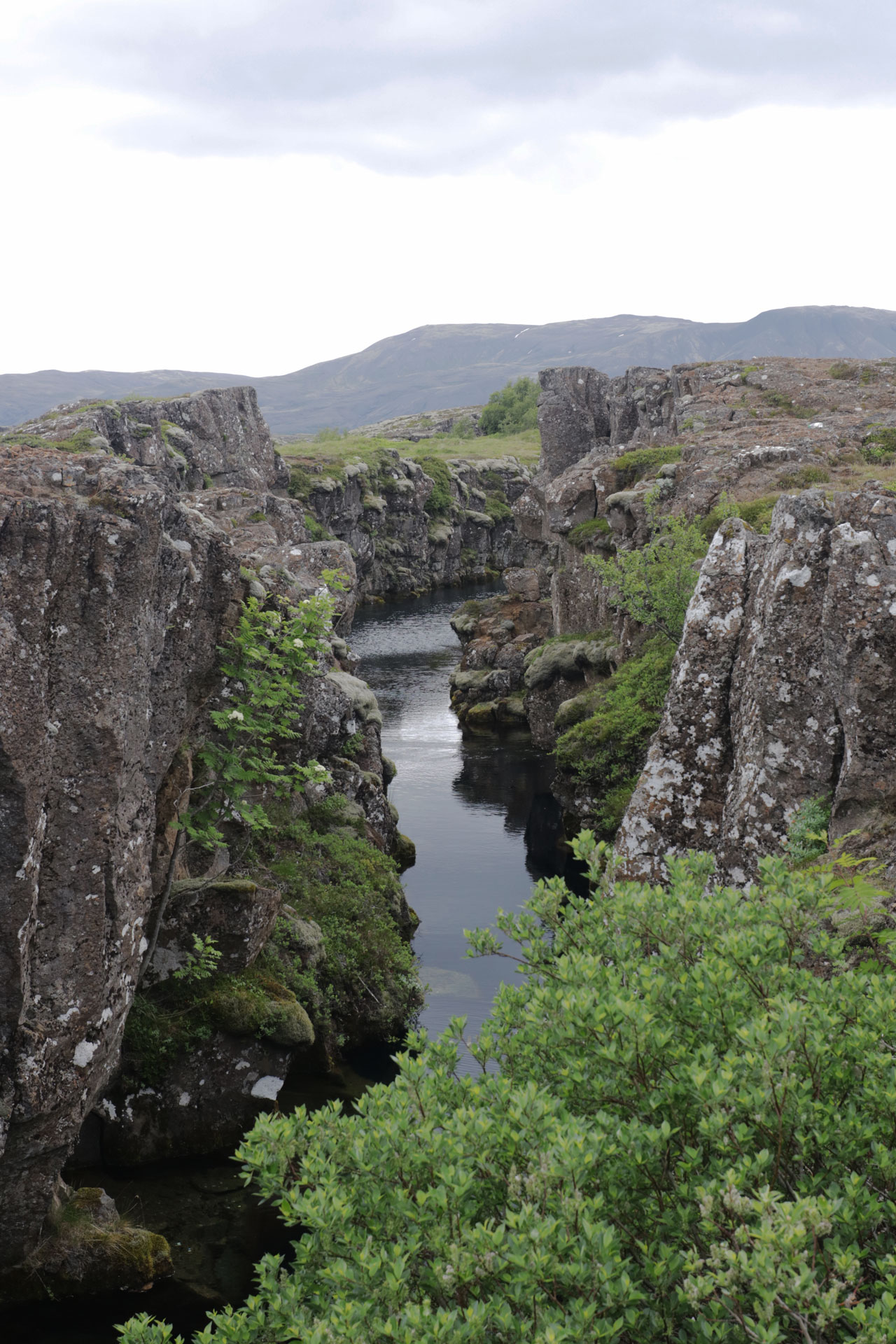 Manche der Gräben haben sich bereits mit Wasser gefüllt
