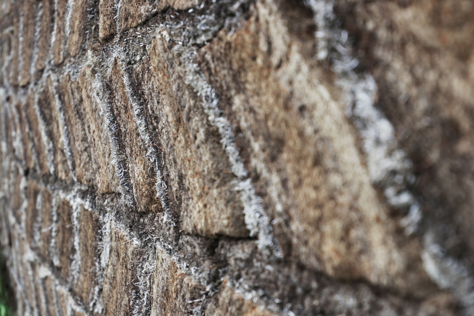 ... die Mauern und das Dach aus geschichteten Torfplatten ...... 