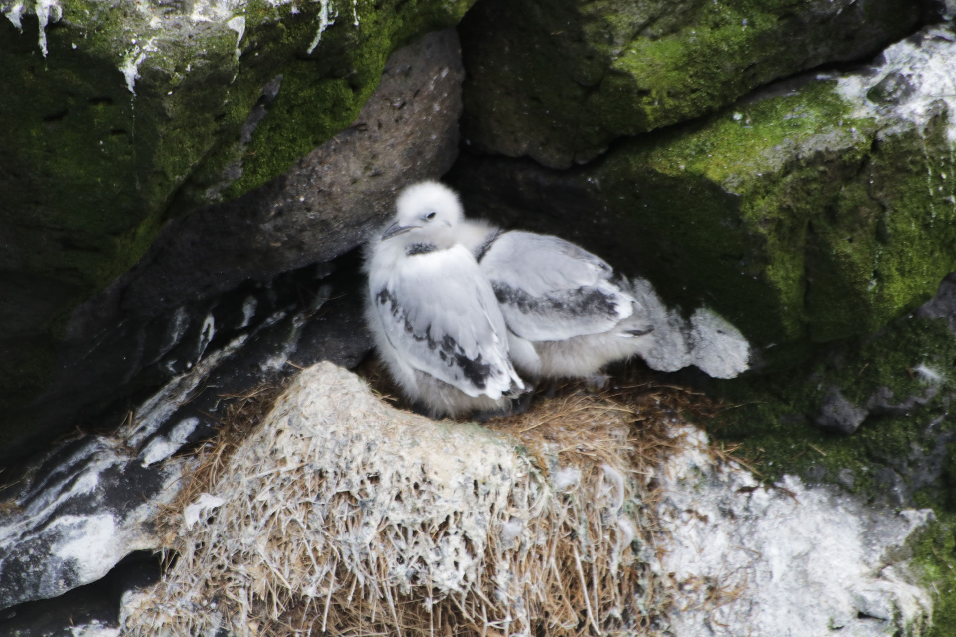 In den Felsenwenden ...