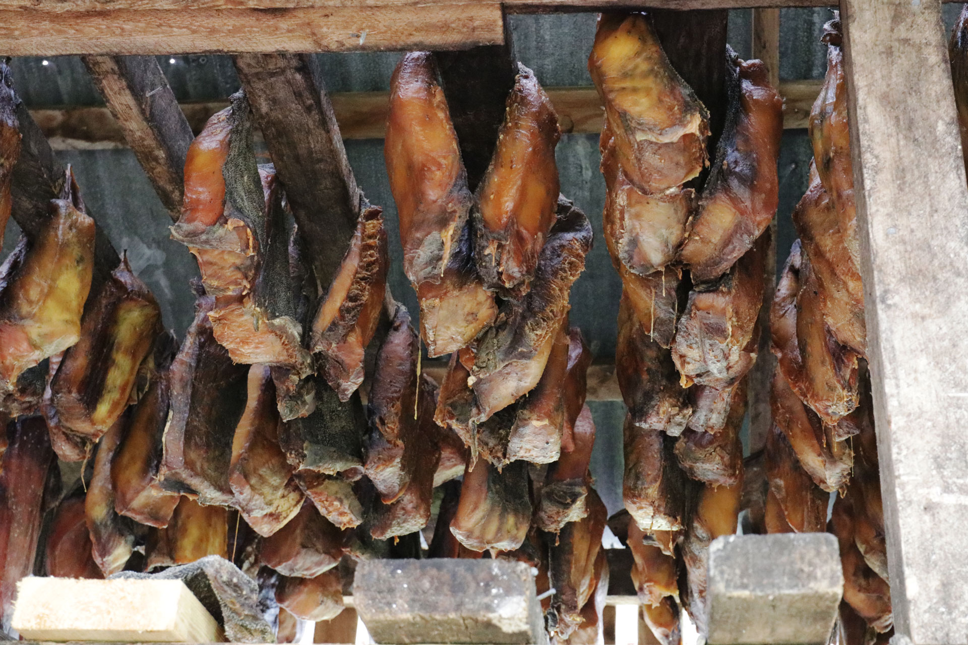 Der Hai wird mehrere Monate lang in Trockenhütte gelagert ...