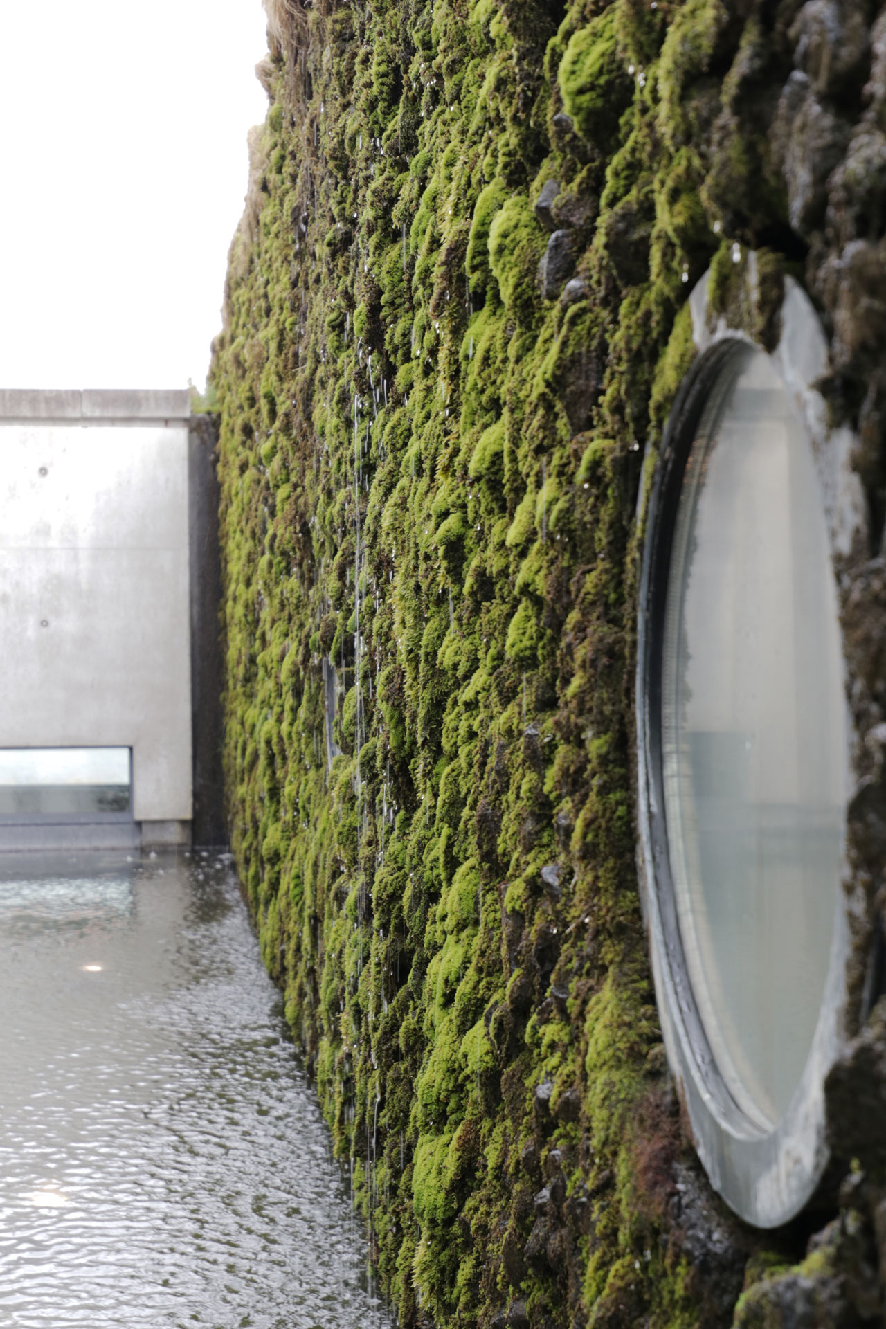 Vulkanstein-Moos Wand am Gebäude der Touristeninformation