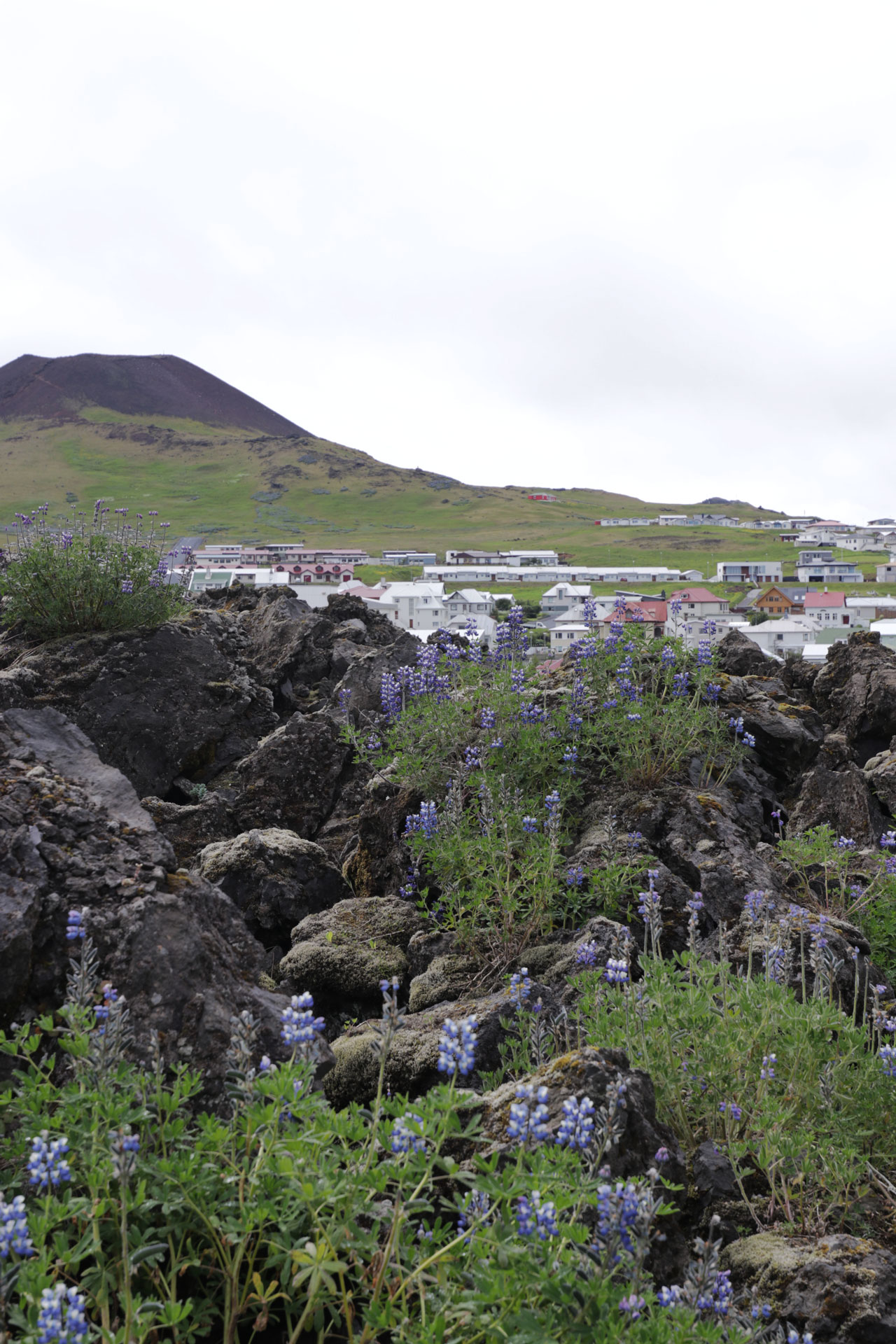 Blick auf die Stadt, in Hintergrund der Vulkan Helgafell