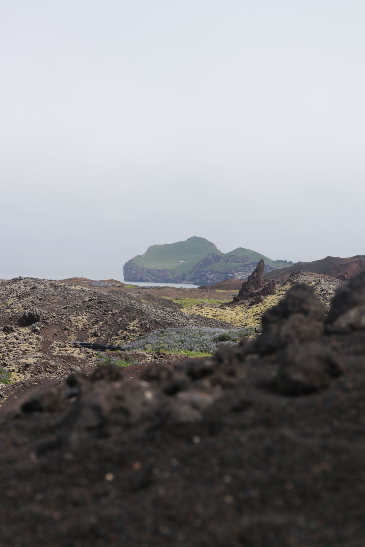 Blick auf die Insel Ellidaey