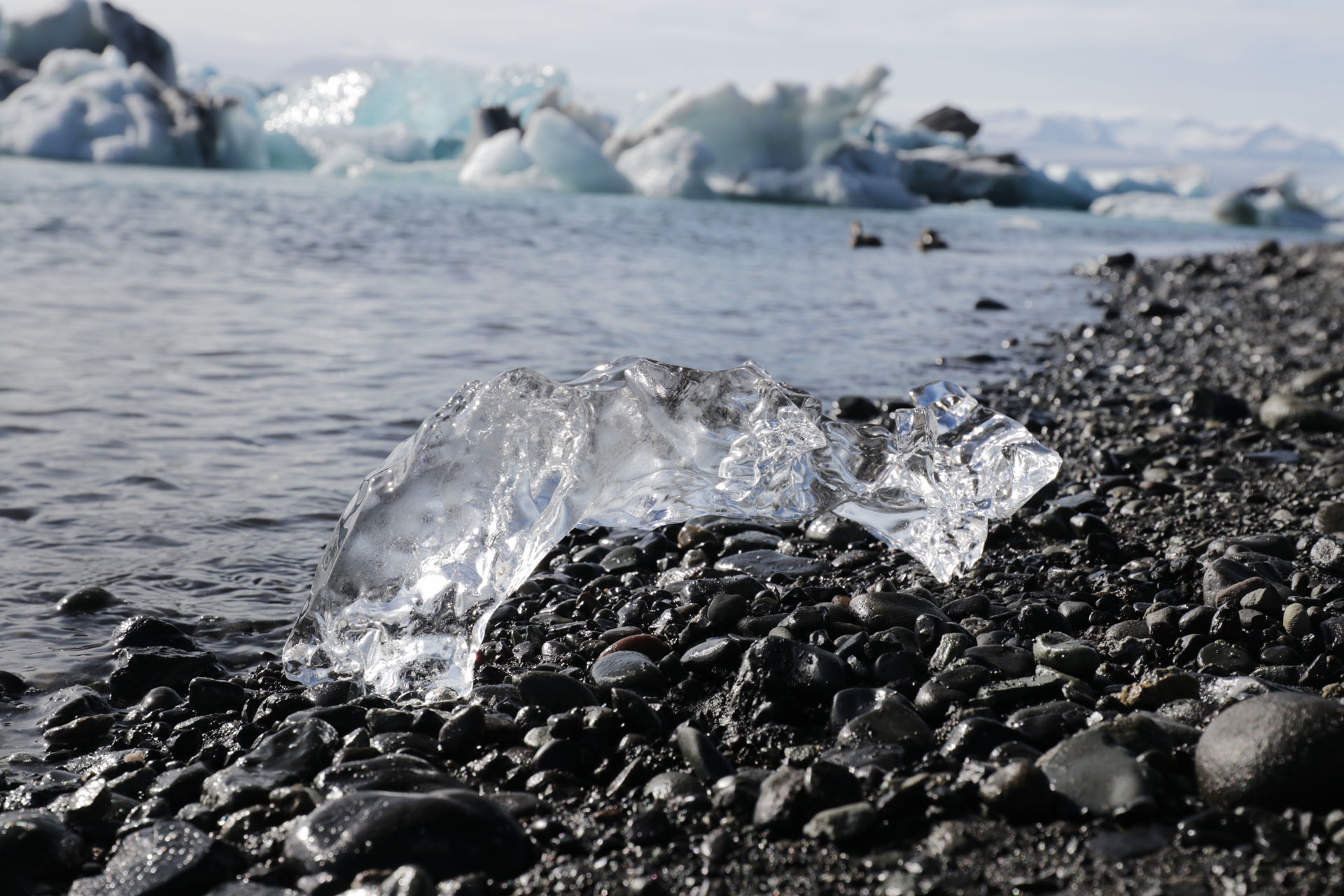 Selbst gefischtes Eis am Ufer